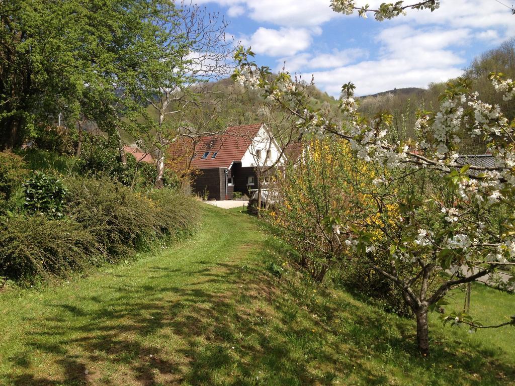 Gite Bellevue Breitenbach Habitación foto