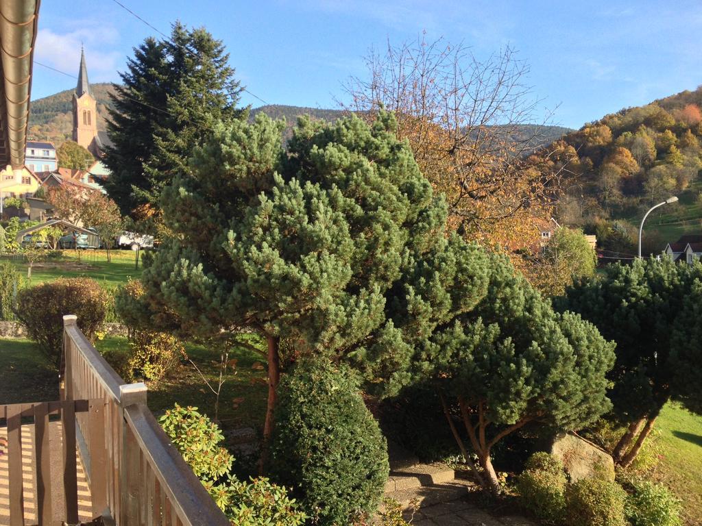 Gite Bellevue Breitenbach Exterior foto