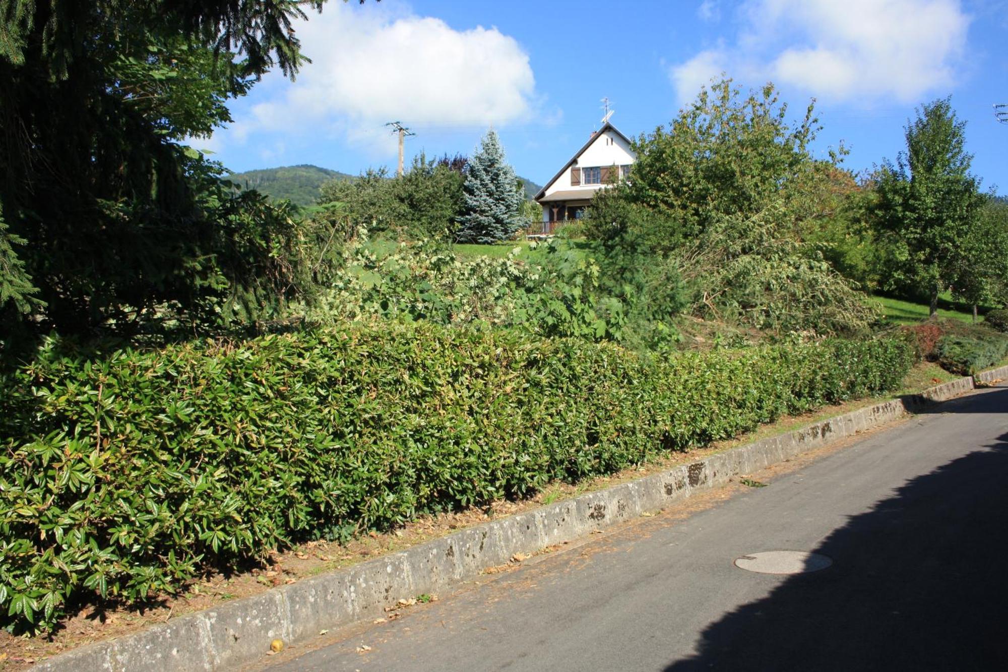 Gite Bellevue Breitenbach Exterior foto